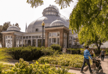 Ботанічний сад Аллан у Торонто: історія та цікаві місця