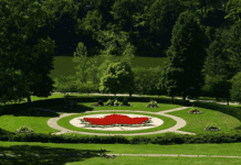 Краса садів та парків Торонто: 6 місць, де можна погуляти на природі