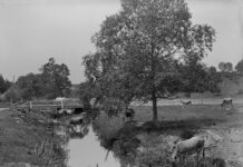 Dentonia Park Farm – легенда Торонто
