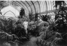 History of Greenhouse Complexes in Toronto