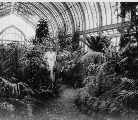 History of Greenhouse Complexes in Toronto