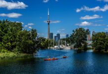Fishing in Toronto: Tips, Best Locations, and Local Insights