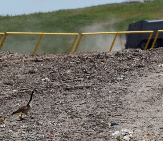 Toronto’s Green Lane Landfill: History, Innovations, and Operations