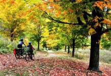 High Park: A Hub for Recreation in Toronto