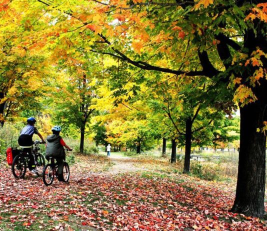High Park: A Hub for Recreation in Toronto