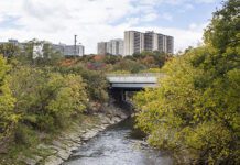 Історія утворення та цікаві факти про річку Дон в Торонто