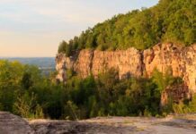 From quarry to conservation area: the story of Milton Quarry