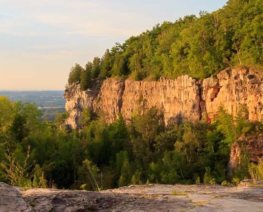 From quarry to conservation area: the story of Milton Quarry