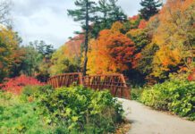 Edwards Gardens — место для отдыха и общения с природой в Торонто