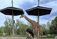 The History of Zoos in Toronto