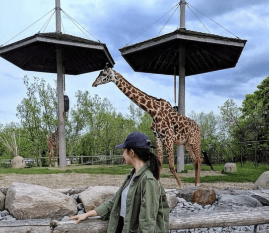 The History of Zoos in Toronto