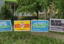 About the Environmental Protection Defense in Toronto