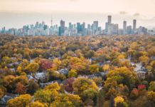 About Forestry and Recreation in Toronto
