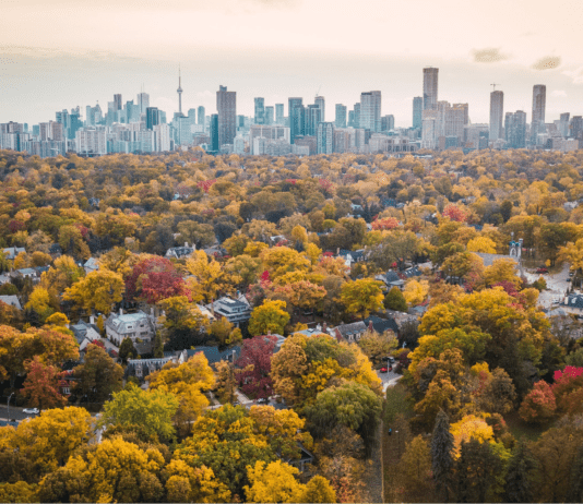 Про лісове господарство та відпочинок у Торонто