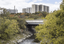 The History and Fascinating Facts About Toronto’s Don River