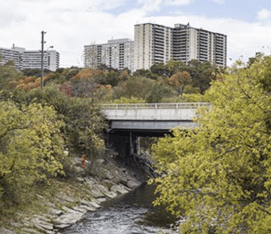 The History and Fascinating Facts About Toronto’s Don River