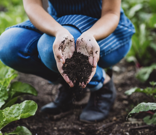 Почвы Торонто