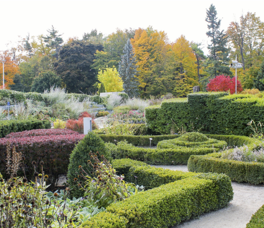 Ботанический сад Торонто