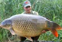 Best Fishing Spots in Toronto: What You Need to Know