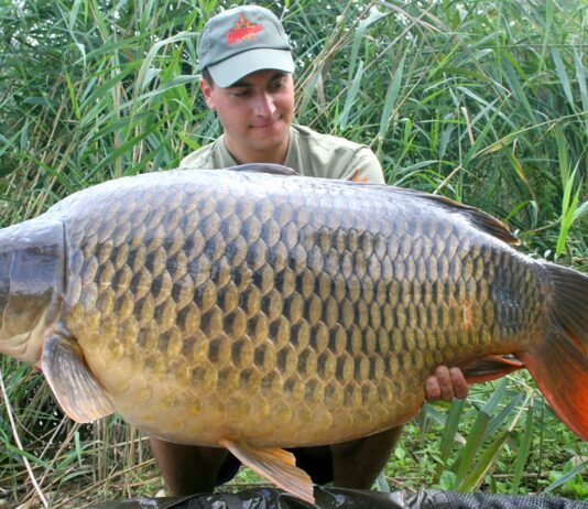 Best Fishing Spots in Toronto: What You Need to Know