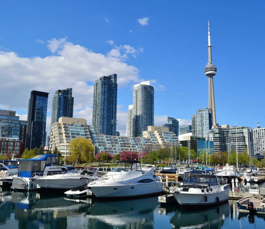 Забруднення річок Торонто