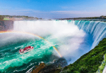 Toronto’s Fight Against Climate Change