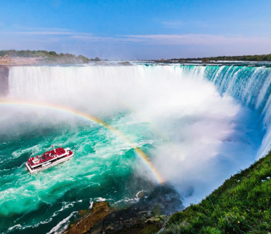 Toronto’s Fight Against Climate Change