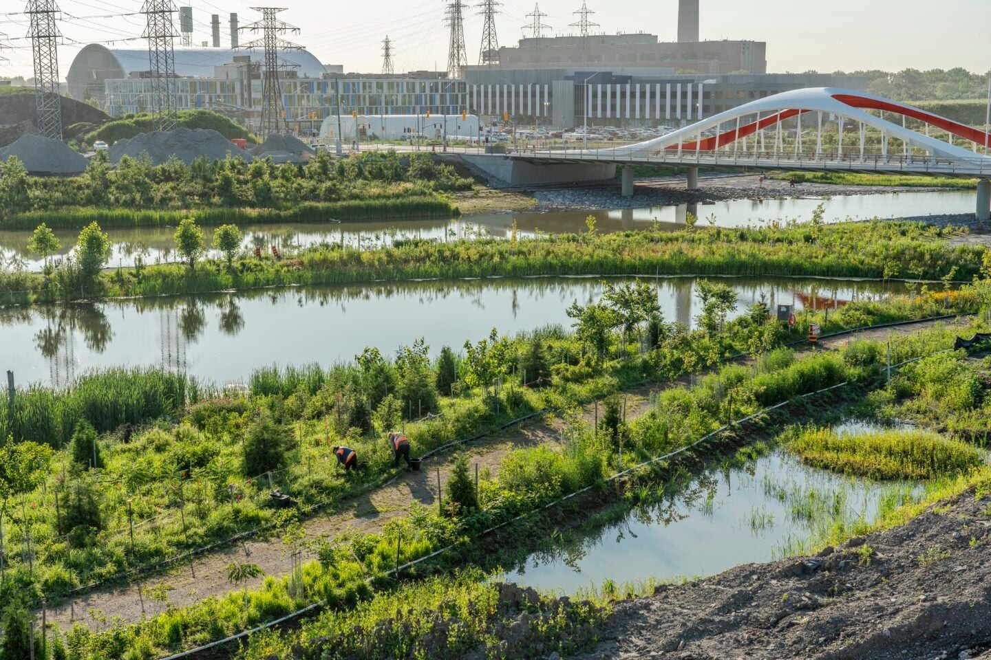 The iconic new red and white bridges in the Port Lands