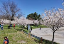Centennial Park