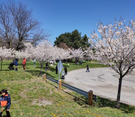Centennial Park
