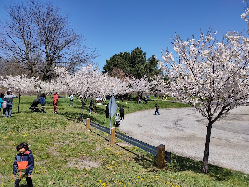 Centennial Park
