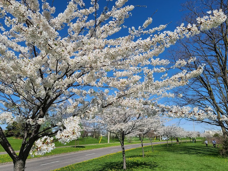 Centennial Park
