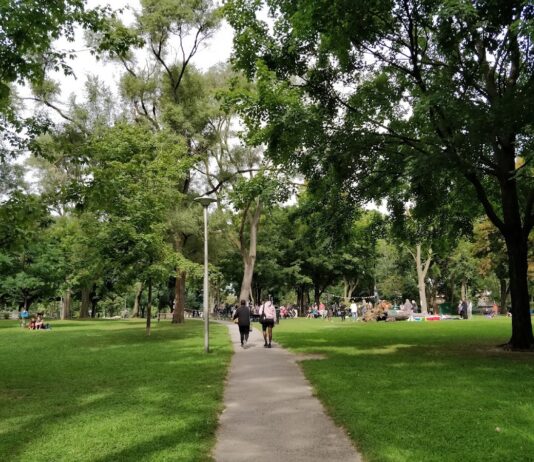 Dufferin Grove Park