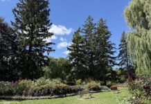 Edwards Gardens