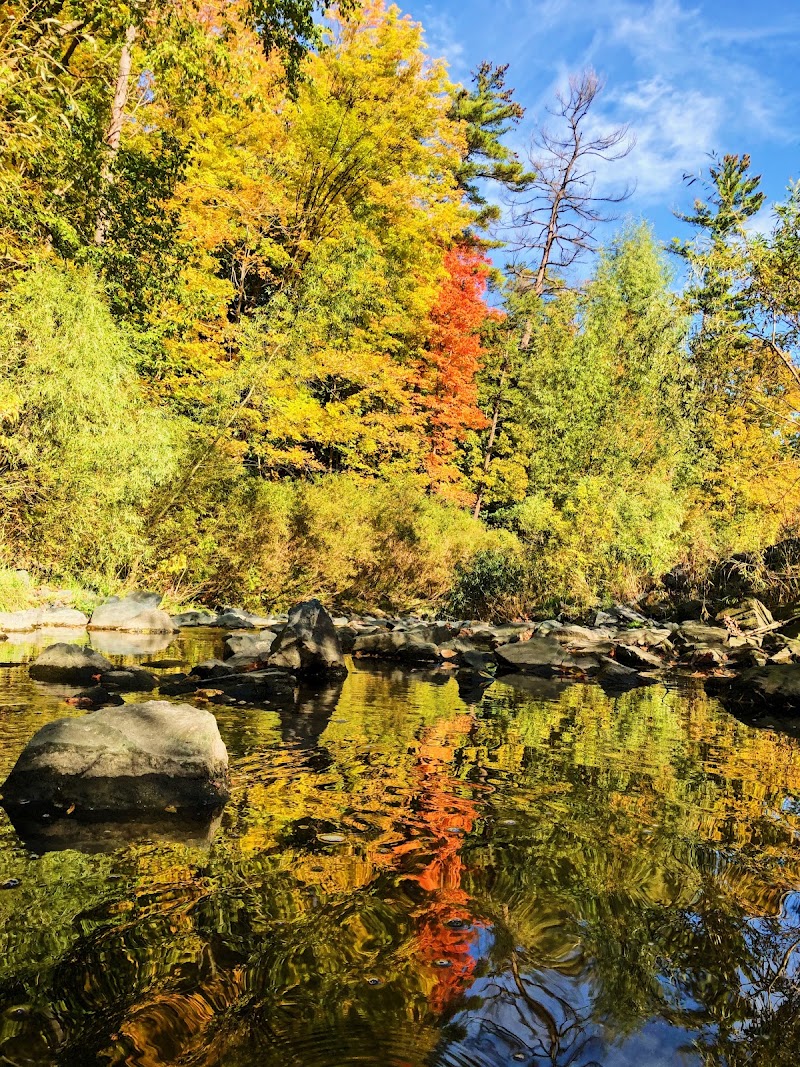 Edwards Gardens