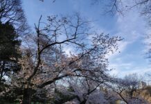High Park