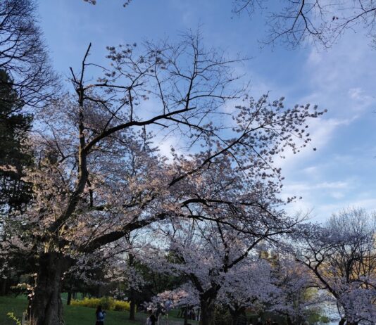 High Park
