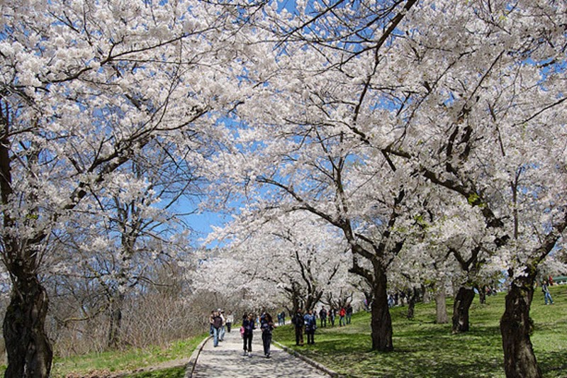 High Park