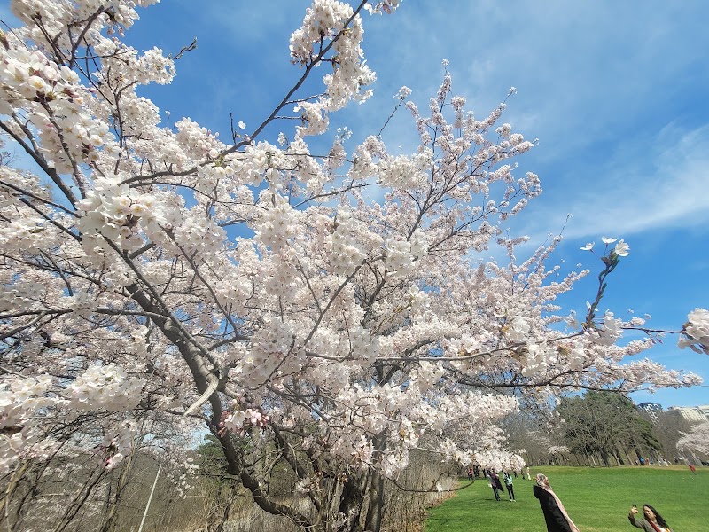 High Park