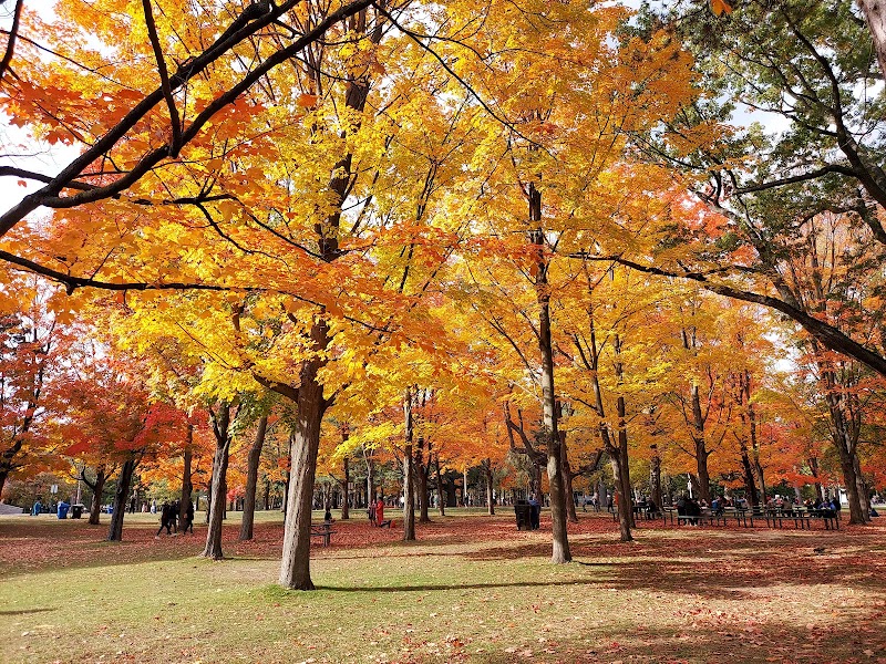 High Park
