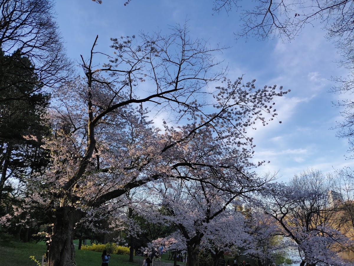 High Park — Park