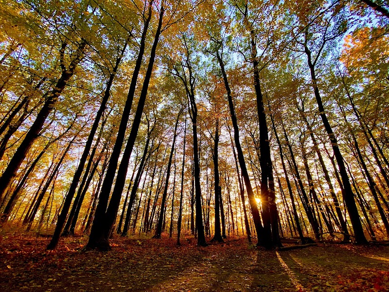 Rouge National Urban Park
