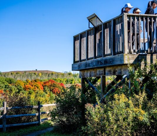 Rouge National Urban Park