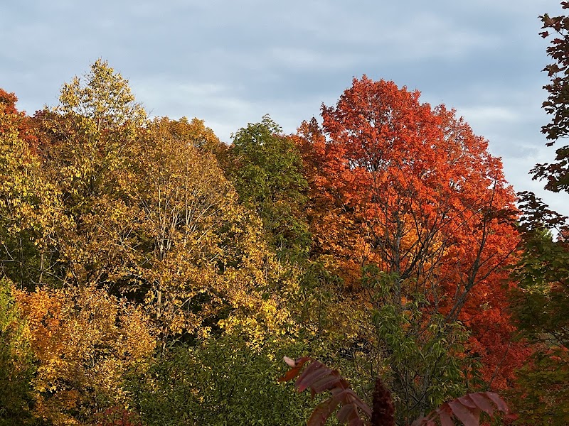 Rouge National Urban Park