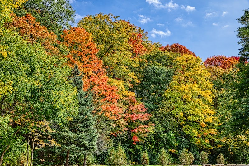 Sunnybrook Park