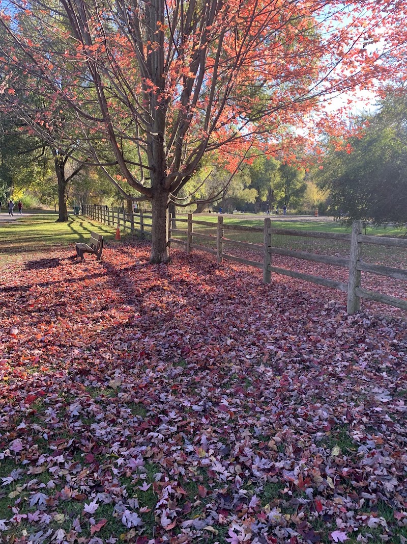 Sunnybrook Park