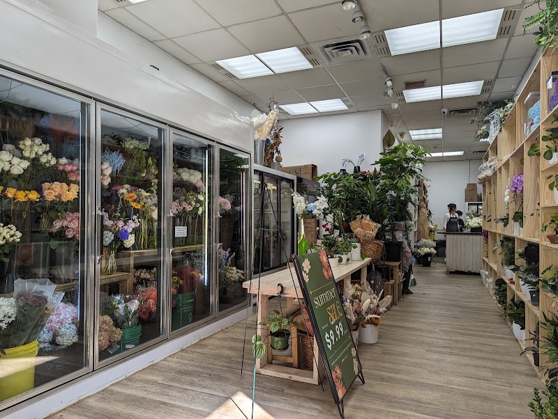 Toronto Flower Gallery