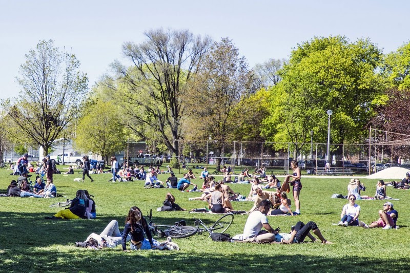 Trinity Bellwoods Park