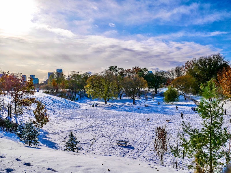 Trinity Bellwoods Park