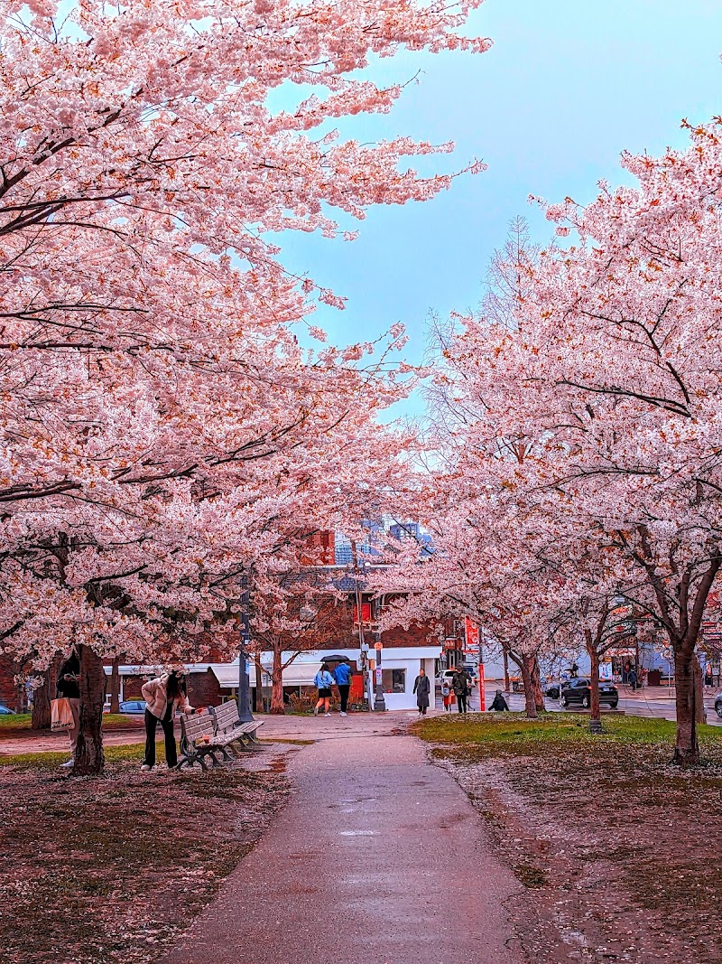 Trinity Bellwoods Park